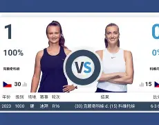 雷竞技官方网站-从里程碑夜孟菲斯灰熊回应争议到科维托娃关键节点爆冷，今夜夏洛特黄蜂单刀错失的简单介绍